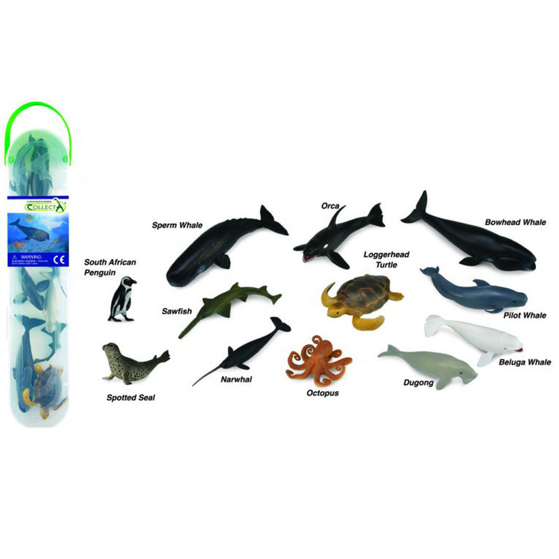 Marine Figurine Tube B Mini Ocean Sea Life Collection Gift Set 12pc by CollectA Animal Figurines 3yrs+