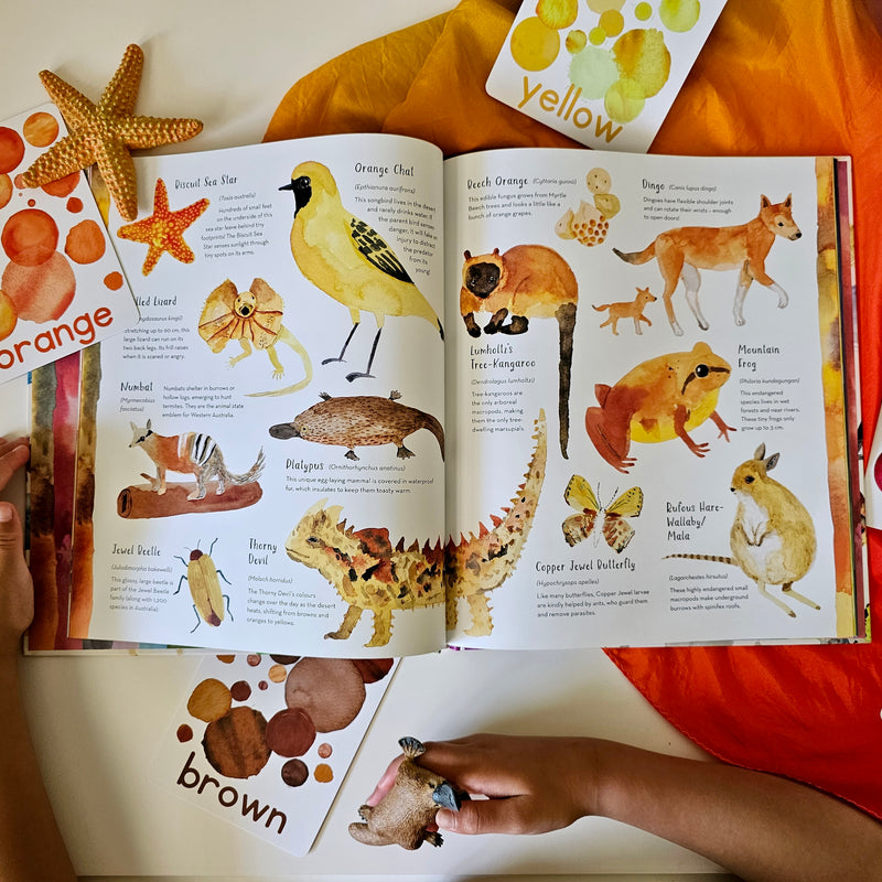 Australia Country Of Colour (Hardcover) by Jess Racklyeft: Kids Picture Book Australian Animals Australian Authors