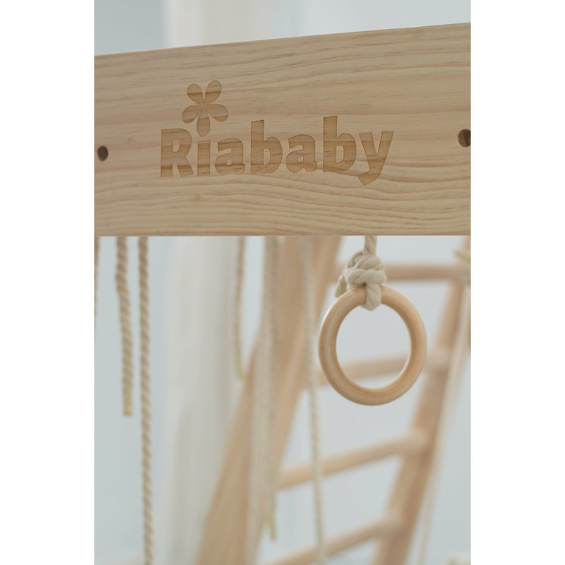 Riababy Ultimate Kangaroo Climbing Playhouse