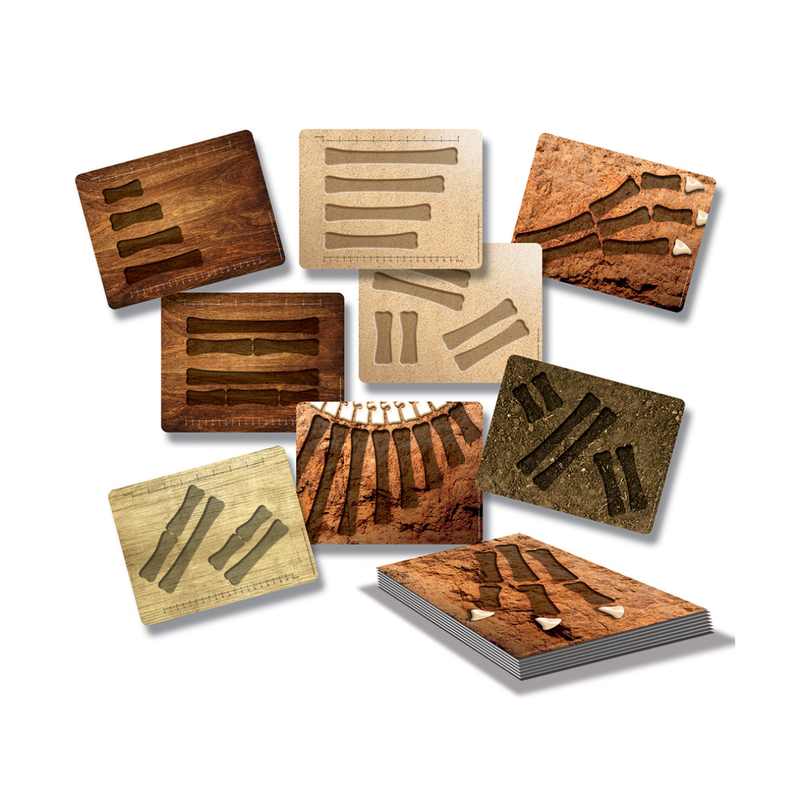 Yellow Door Dinosaur Bones Match and Measure Activity Cards Only Dinosaur toy Early Science and Math Games for Kids STEM Toys Dinosaur and Dragon Theme 3yrs+