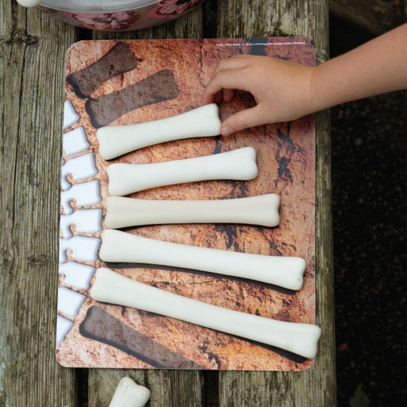 Yellow Door Dinosaur Bones Match and Measure Activity Cards Only Dinosaur toy Early Science and Math Games for Kids STEM Toys Dinosaur and Dragon Theme 3yrs+