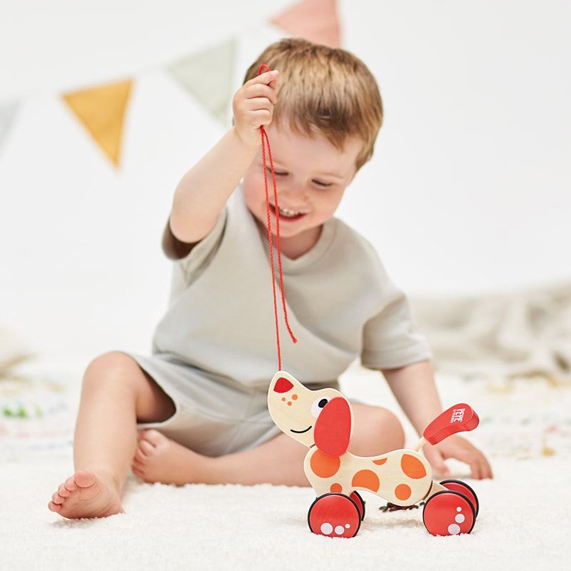 Hape Pepe Pull Along Dog Toddler Wooden Toys Best Seller Gift Idea for 12m+