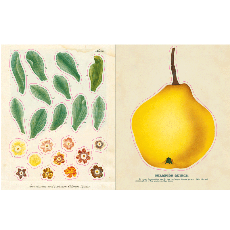 John Derian Sticker Book With Over 500 Stickers (Hardcover) Kids Picture book