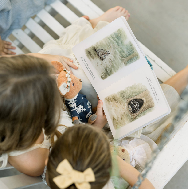 Our Little Adventure at Easter (Board Book) By Paige Tate Kids First Easter Storytelling Book Baby Toddler gift idea