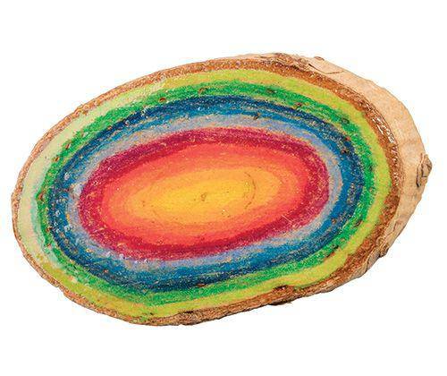 Branch Cuts Ovals 330g Nature Play Tools and Toys
