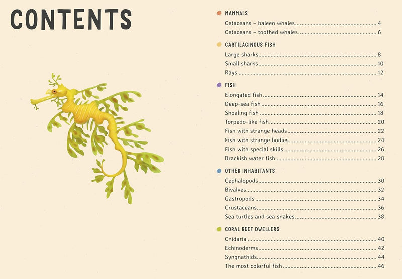 Ecyclopedia of Undersea Life (Hardcover) by Bohdana Jarosova and Tomas Tuma Ocean Life Book