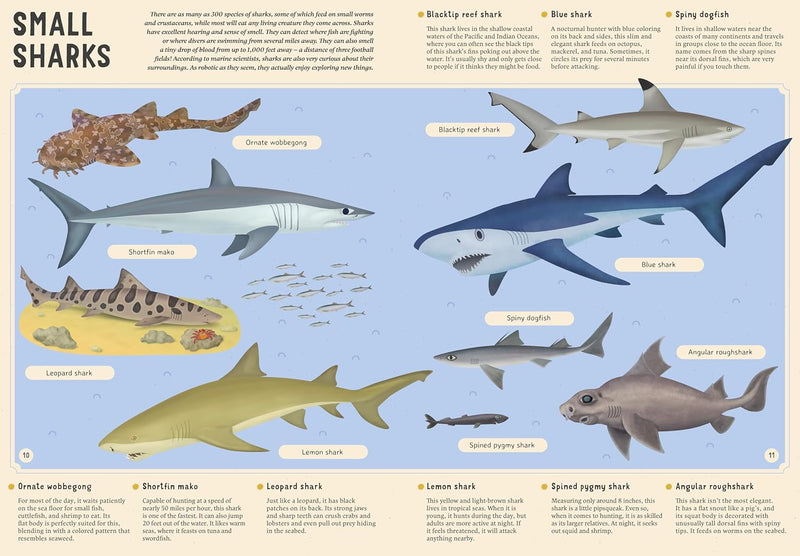 Ecyclopedia of Undersea Life (Hardcover) by Bohdana Jarosova and Tomas Tuma Ocean Life Book