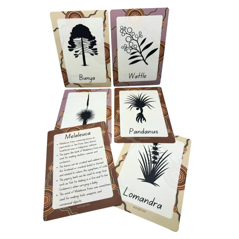 Aboriginal Flora Stamps 6 Designs+ Flashcards by Songlines Playdough Sand Toys Art and craft for kids Australian Indigenous First Nation Resources 3yrs+