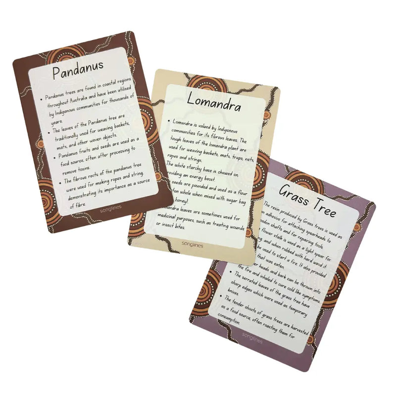 Aboriginal Flora Stamps 6 Designs+ Flashcards by Songlines Playdough Sand Toys Art and craft for kids Australian Indigenous First Nation Resources 3yrs+