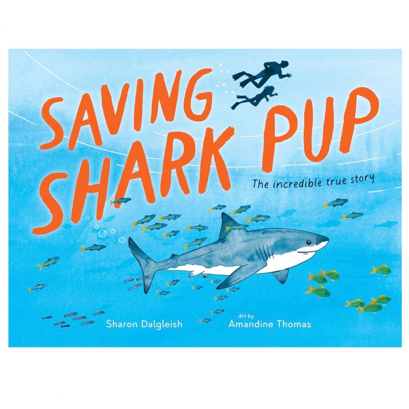 Saving Shark Pup (Hardcover) by Sharon Dalgleish and Amandine Thomas