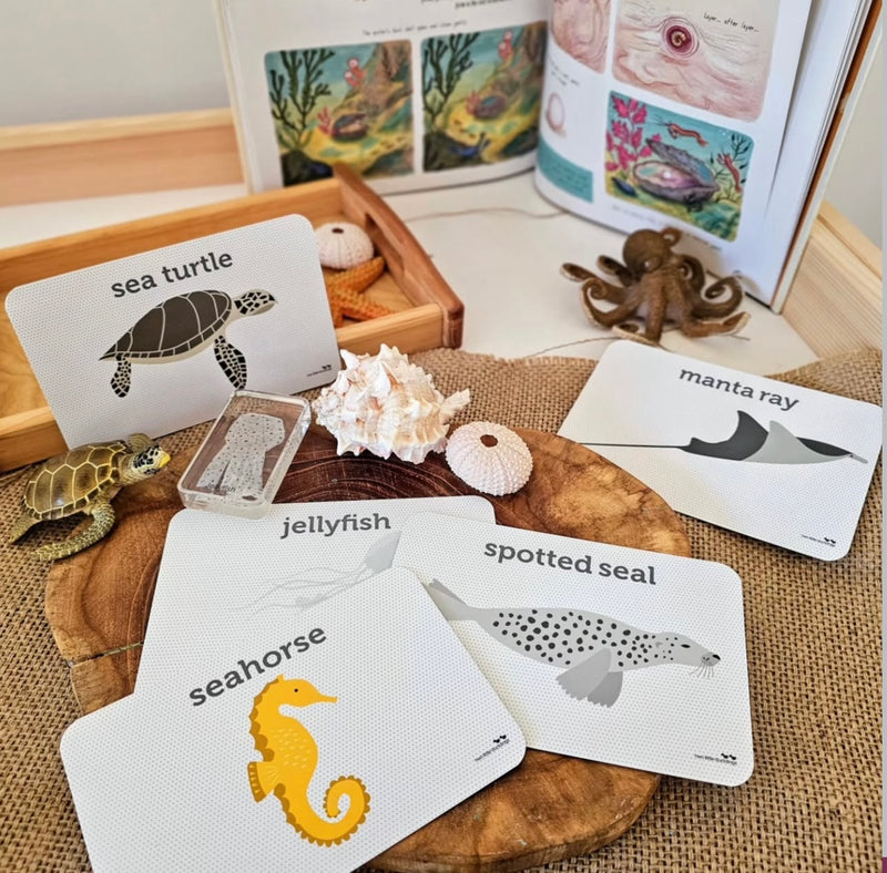 Sea Life Flash Cards by Two Little Ducklings 3yrs+