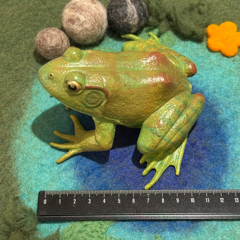 American Bullfrog Figurine by Safari Ltd Extra Large Woodland Collection Incredible Creatures Animal Figurines 3yrs+