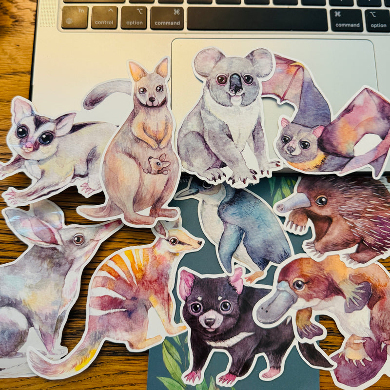 Australian Animal Large Vinyl Waterproof window wall decor Stickers Original Artworks Selected 10pcs Pack by Watercolour By Cat