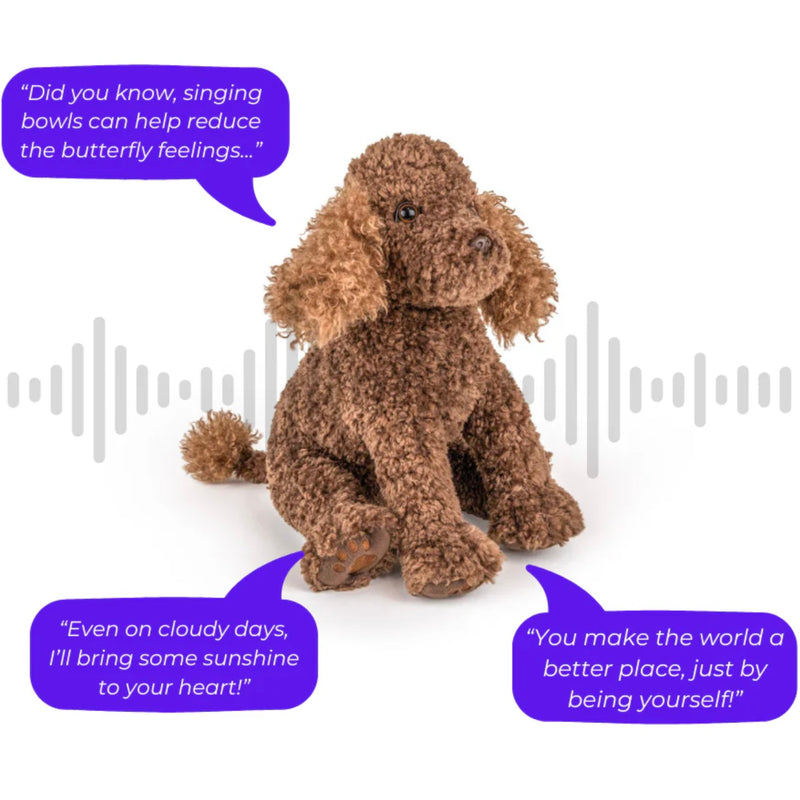 Poodle Soft Toy Kitty and I Comfort Me Raffy Talking Plush Toy for kids