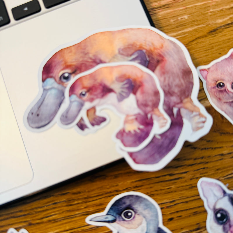 Australian Animal Large Vinyl Waterproof window wall decor Stickers Original Artworks Selected 10pcs Pack by Watercolour By Cat