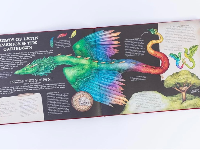 A Natural History of Magical Beasts (Hardcover) by Jessica Roux and Emily Hawkins Fairy Unicorn and Castle Theme 6yrs+