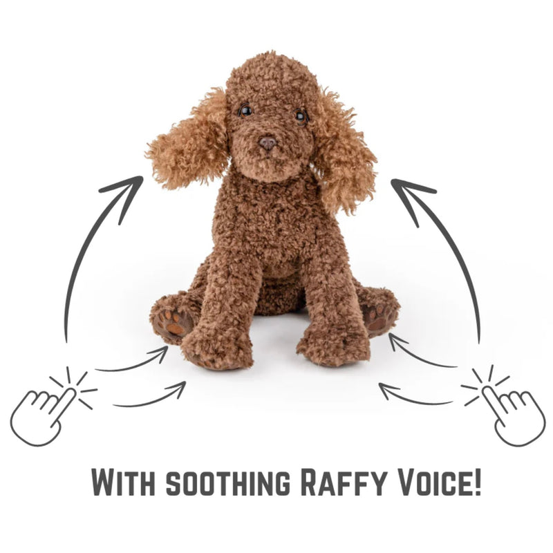 Poodle Soft Toy Kitty and I Comfort Me Raffy Talking Plush Toy for kids