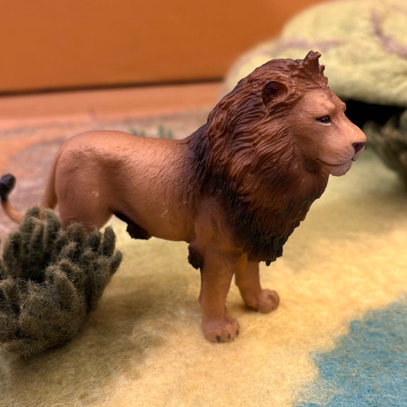 Wild Life Figurine Collection 5pc Gift Set by CollectA Animal Figurines 3yrs+