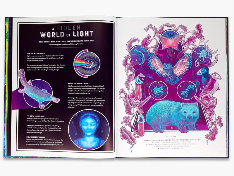 Glow The Wild Wonders of Bioluminescence (Hardcover) STEM Discovery Book 7yrs+