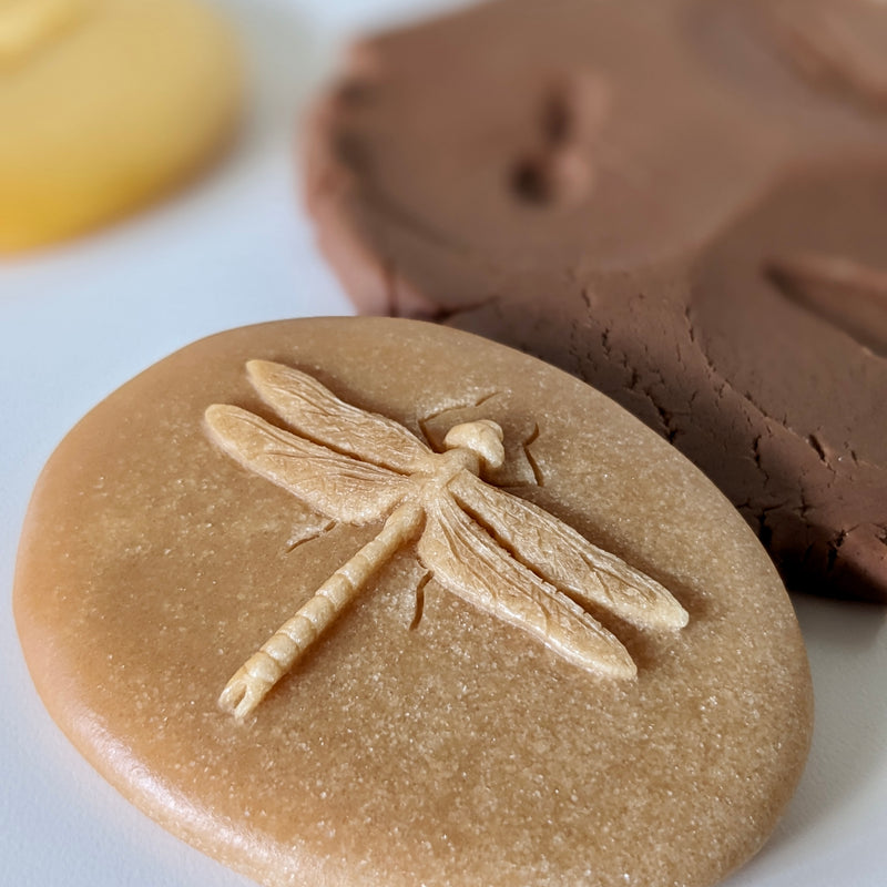 Yellow Door Let’s Investigate Bugs Set of 8 Sensory Stone Art and Craft for Kids Playdough Sand Toys Sensory Toys for Toddlers Gift Idea 2yrs+