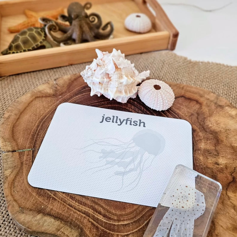 Sea Life Flash Cards by Two Little Ducklings 3yrs+