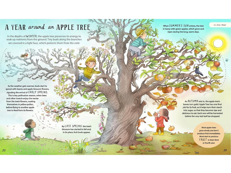 Patience… A Slow Down Book (Hardcover) by Rachel Williams and Leonie Lord: Discover How the Best Things in Life Take Time