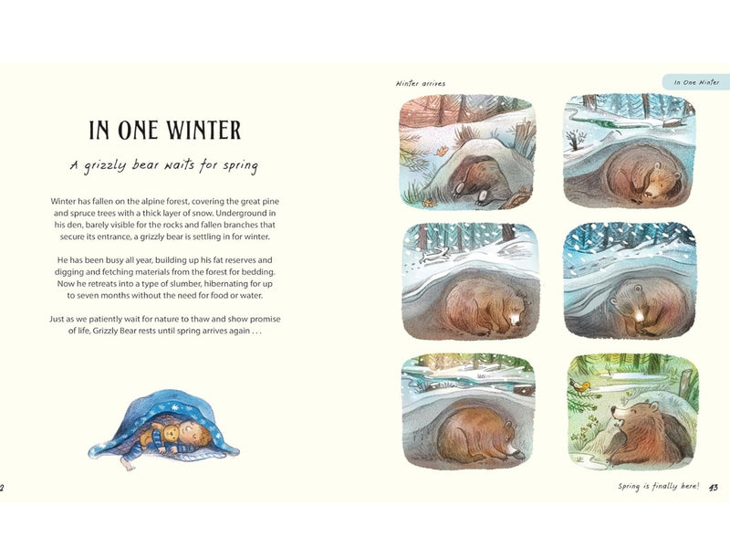 Patience… A Slow Down Book (Hardcover) by Rachel Williams and Leonie Lord: Discover How the Best Things in Life Take Time