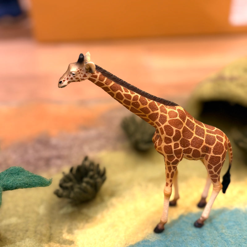 Wild Life Figurine Collection 5pc Gift Set by CollectA Animal Figurines 3yrs+