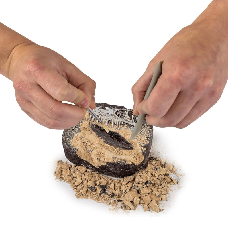 National Geographic Dinosaur Fossil Dig Kit Early Science STEM Toys Dinosaur and Dragon Theme 8yrs+