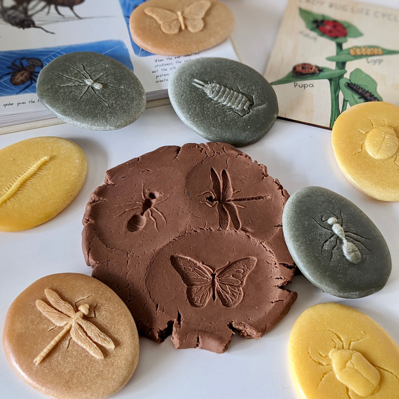 Yellow Door Let’s Investigate Bugs Set of 8 Sensory Stone Art and Craft for Kids Playdough Sand Toys Sensory Toys for Toddlers Gift Idea 2yrs+