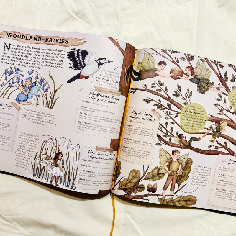 A Natural History of Fairies (Hardcover) by Jessica Roux and Emily Hawkins Fairy Unicorn and Castle Theme Gift Idea for 6yrs+