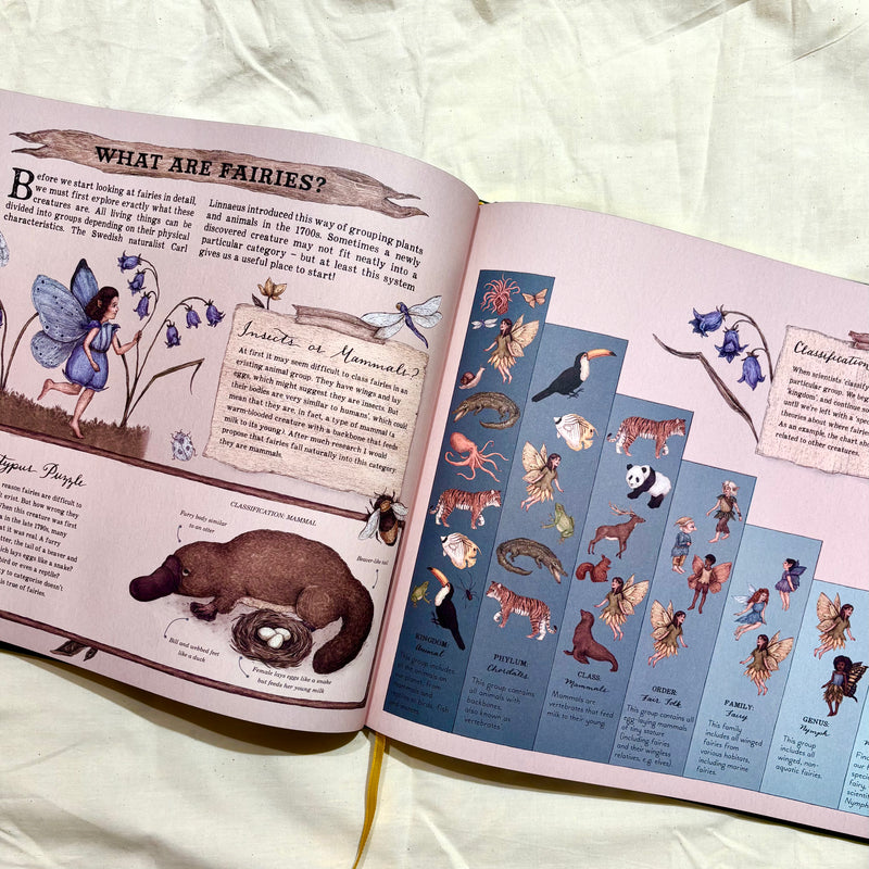 A Natural History of Fairies (Hardcover) by Jessica Roux and Emily Hawkins Fairy Unicorn and Castle Theme Gift Idea for 6yrs+