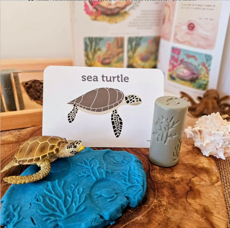 Sea Life Flash Cards by Two Little Ducklings 3yrs+