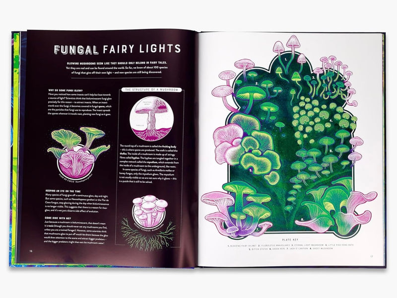 Glow The Wild Wonders of Bioluminescence (Hardcover) STEM Discovery Book 7yrs+