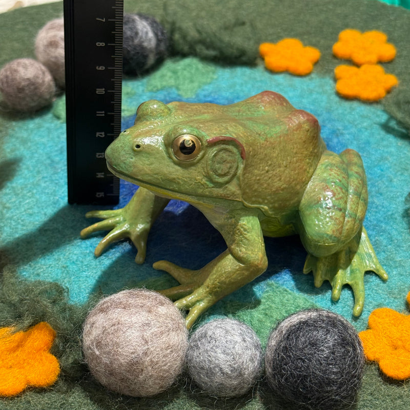 American Bullfrog Figurine by Safari Ltd Extra Large Woodland Collection Incredible Creatures Animal Figurines 3yrs+