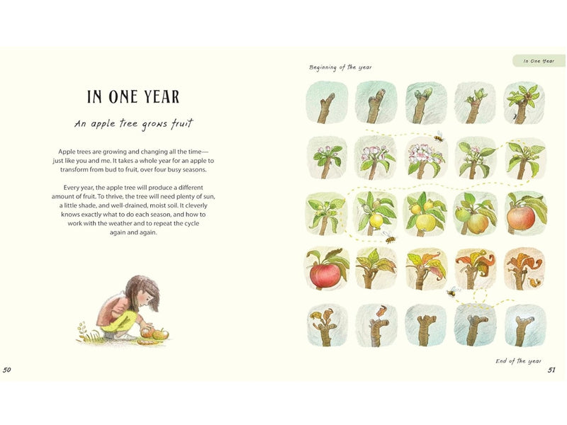 Patience… A Slow Down Book (Hardcover) by Rachel Williams and Leonie Lord: Discover How the Best Things in Life Take Time