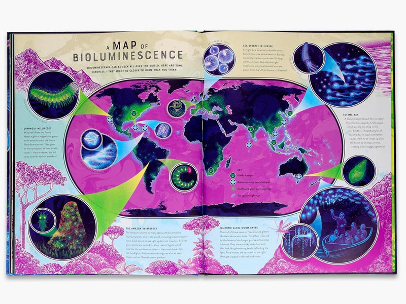 Glow The Wild Wonders of Bioluminescence (Hardcover) STEM Discovery Book 7yrs+