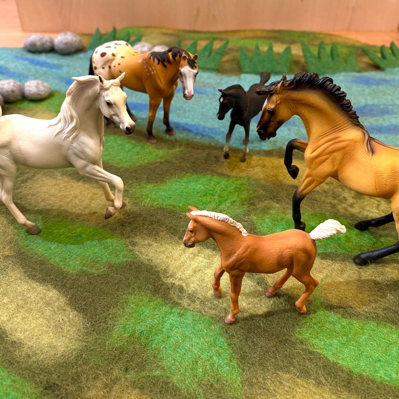 Horses Figurine Collection 5pc Gift Set by CollectA Animal Figurines 3yrs+