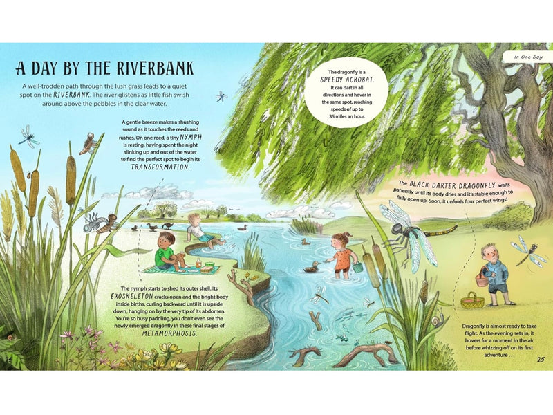 Patience… A Slow Down Book (Hardcover) by Rachel Williams and Leonie Lord: Discover How the Best Things in Life Take Time