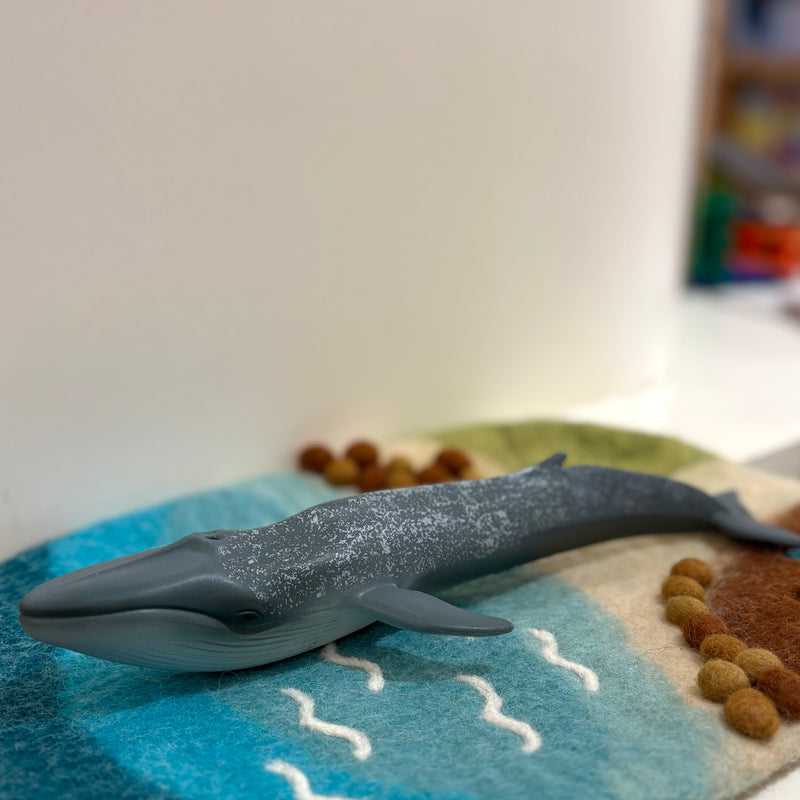 Sea Life Figurine Collection 5pc Gift Set by CollectA Animal Figurines3yrs+