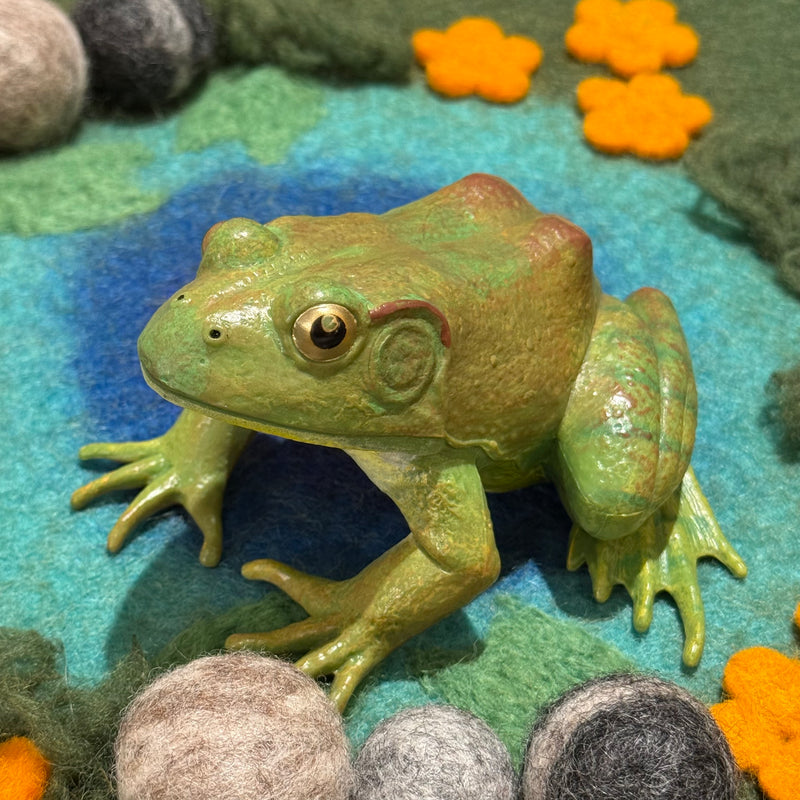 American Bullfrog Figurine by Safari Ltd Extra Large Woodland Collection Incredible Creatures Animal Figurines 3yrs+