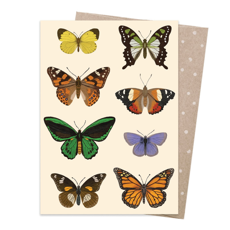 Greeting Card Native Flutter by Earth Greetings Birthday card (First Nations Artist Negin Maddock)