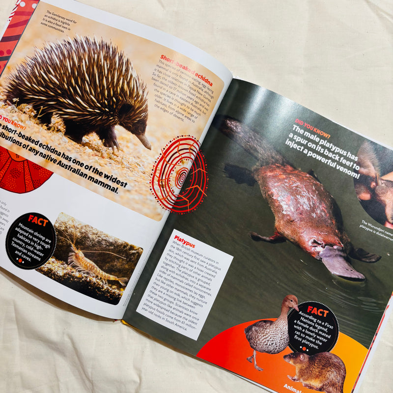 Deadly Science - Animal Survival (Hardcover) by Karen Sommerville, Corry Tutt, Mim Cole Australian Animals STEM Science Book Non-fiction Kids Book 5yrs+