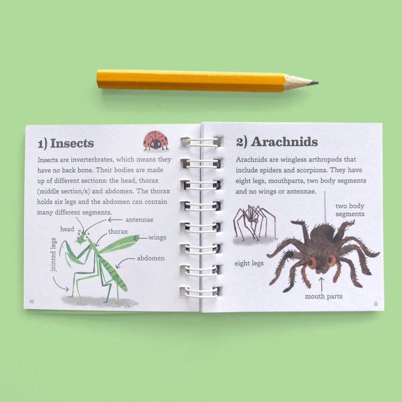 Tiger Tribe Bug Spotter Kit Outdoor Activities for Kids 4yrs+