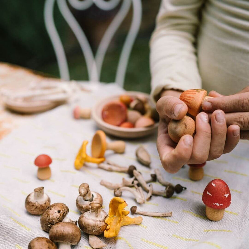 Grapat Mushroom Grove 18pcs NEW 2026 3yrs+