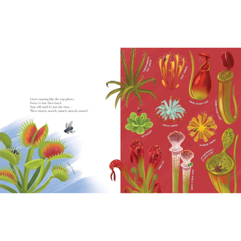 Grow (Hardcover) by Jess McGeachin Kids Nature Book Exploring Plants Flowers Fungi Growth and Change Environmental Awareness