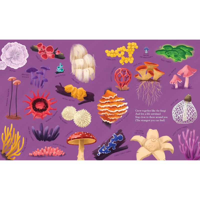 Grow (Hardcover) by Jess McGeachin Kids Nature Book Exploring Plants Flowers Fungi Growth and Change Environmental Awareness