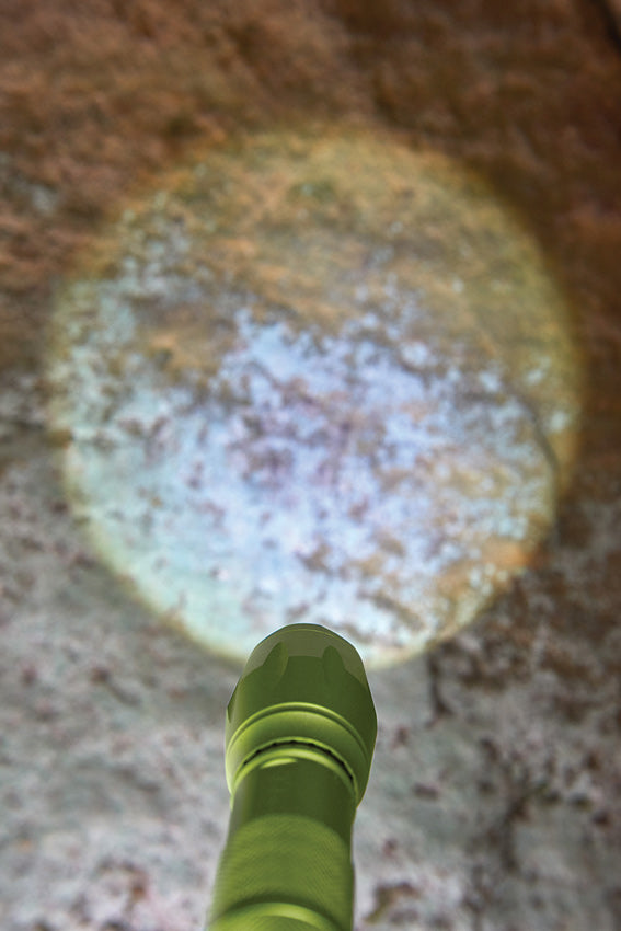 HABA Terra Kids Torch Outdoor Travel Toys Early Science STEM Toys Best Seller 5yrs+