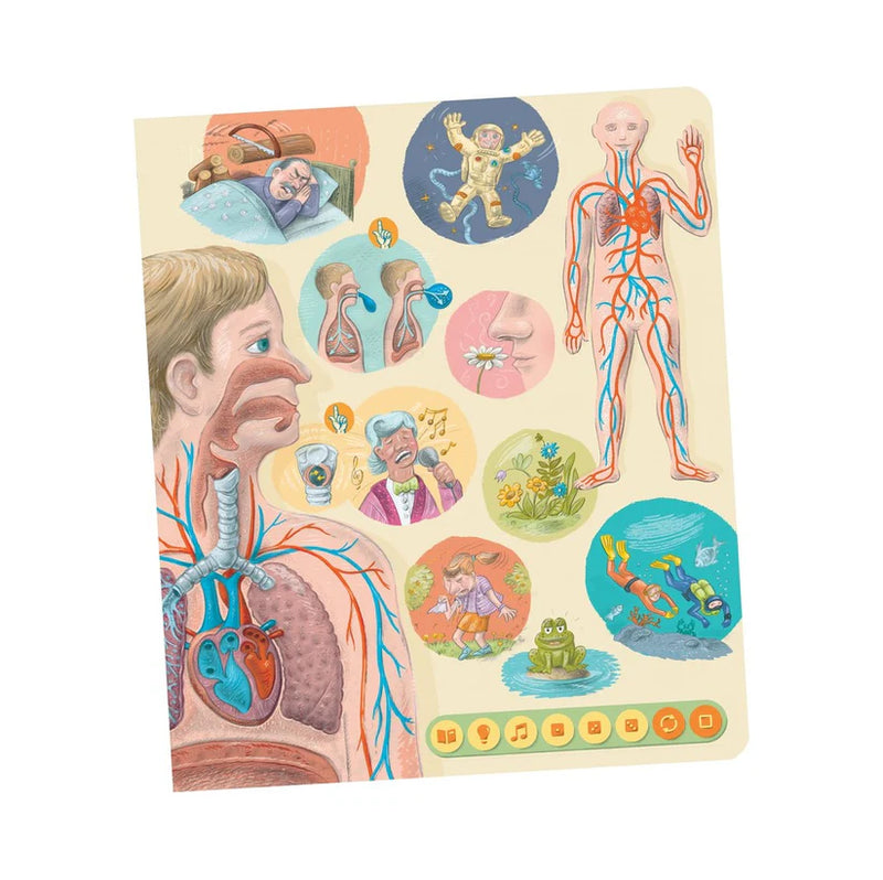 Tolki Book Human Body STEM Kid’s Book 6yrs+