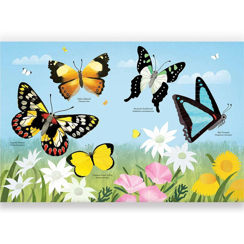 Ingenious Insects (Hardcover) by Sarah Allen Kids Picture Book